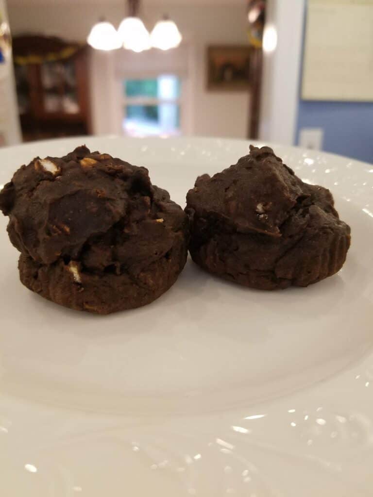 I LOVE these healthy chocolate veggie muffins that we make in our blender (nutribullet!) Packed with spinach, zucchini, double protein oats, and banana, these are the perfect snack for my little ones!