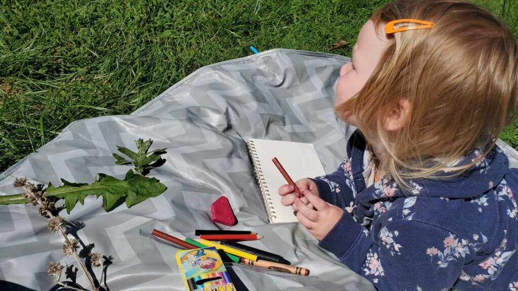 Nature journaling and drawing is an important part of our nature homeschool rhythms.