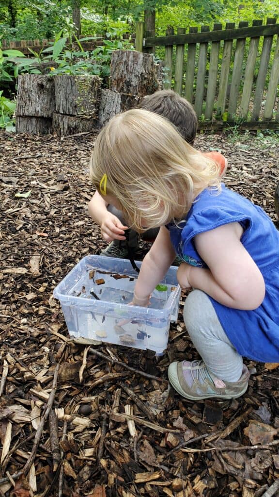 Nature Preschool classic activity- sink or float! We love to play with natural materials in our homeschool.