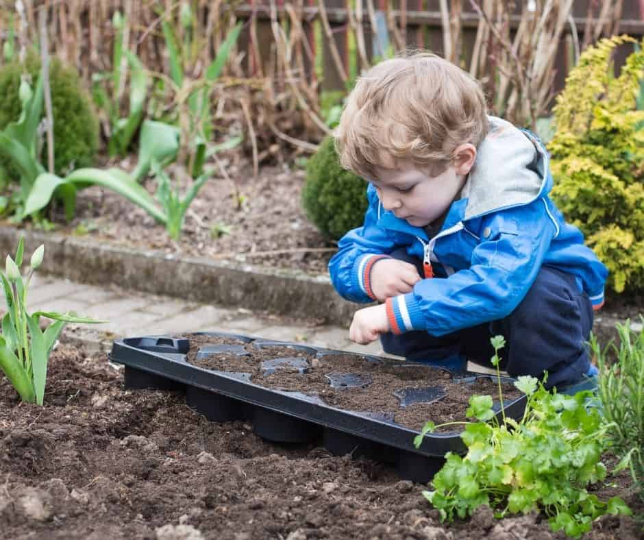 How we celebrate the Spring Equinox with our children